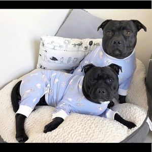 Darren & Phillip Dog PJs! - two sizes available!